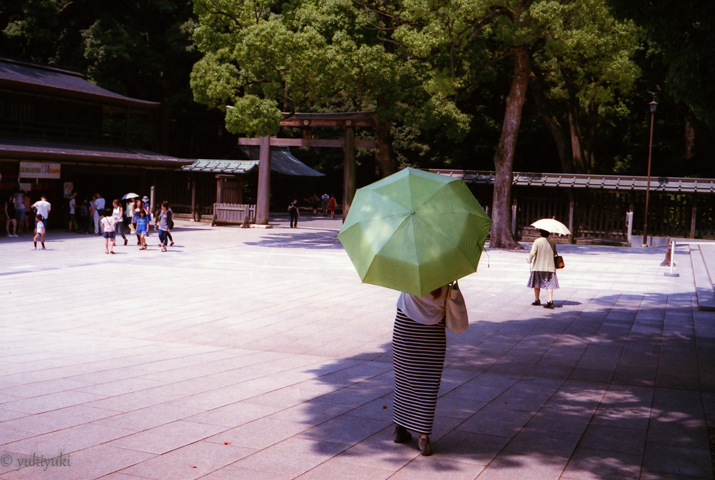 夏の想い