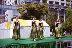 美しきハワイアン