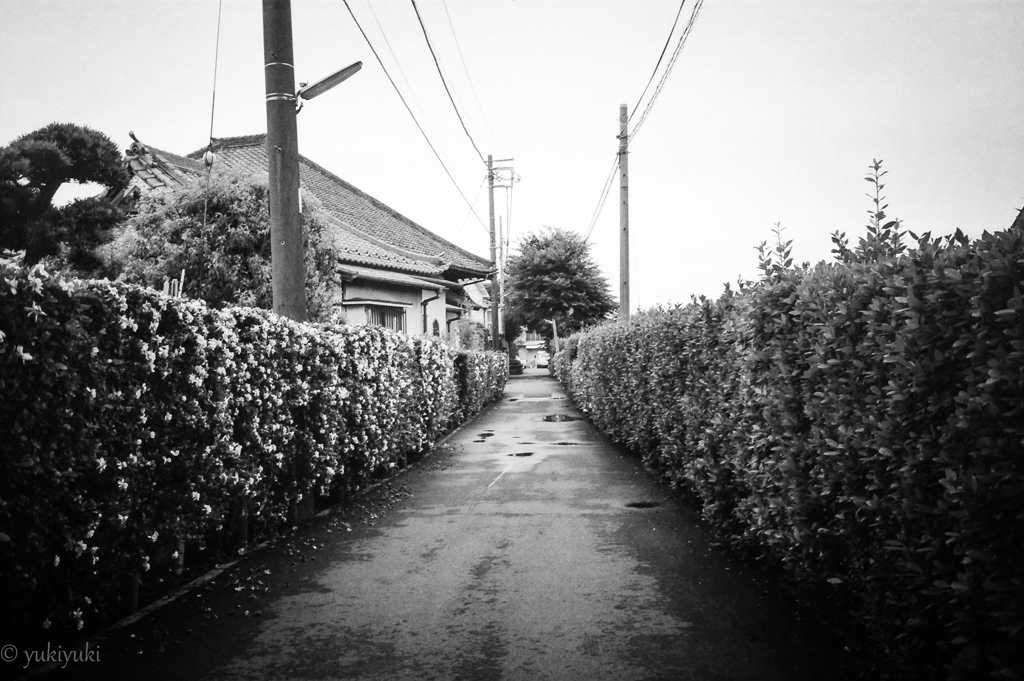 下町情景