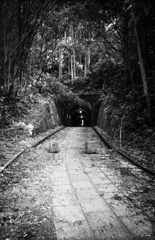 千と千尋の神隠し