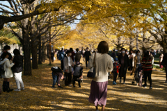 彼女がみた紅葉