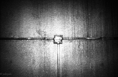 河津桜を撮りに　２