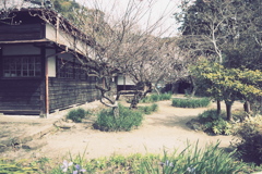 悲しみのビィンテージ 悲しみのビィンテージ