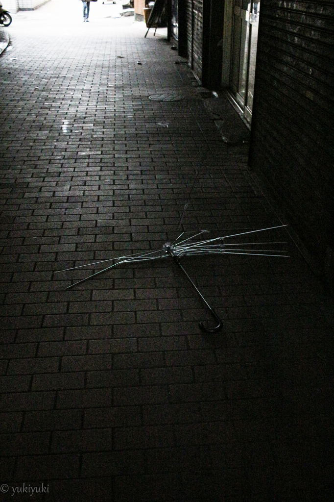 大都会に散った