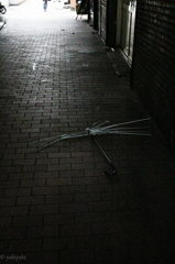 大都会に散った