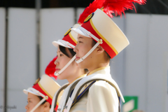 パレードへ行こう