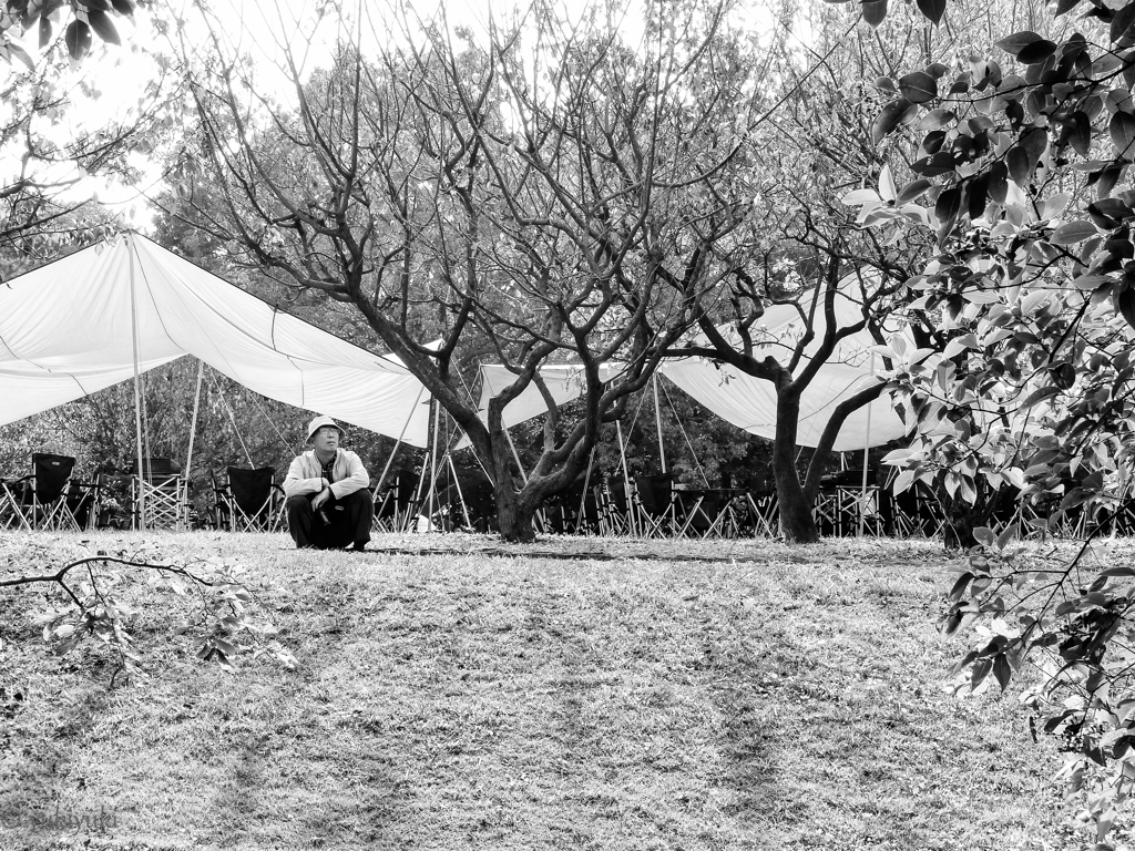 我思う故に我あり