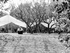 我思う故に我あり