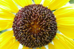 俺はワリとヒマなやつ