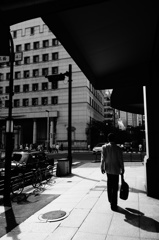 ダンディは日陰がお好き