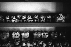 妖怪猫　村