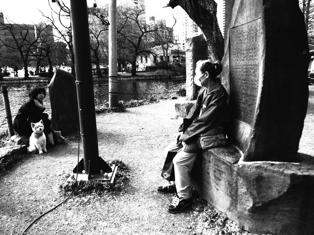 犬が心配してくれた