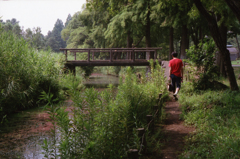 夏が来れば思い出す　2015夏