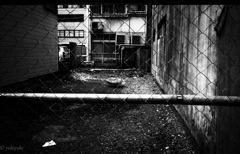 二度と取れない傘