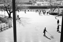 昨日と今日の道しるべ