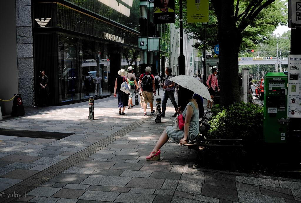 2015　木陰