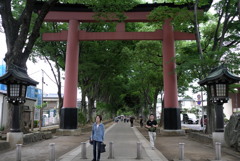 果てしなく続く参道