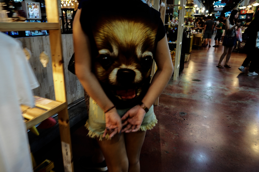 in the distance・・なんだこの犬