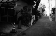 この坂を上がれば