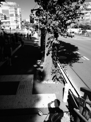 蜘蛛の日常行動　ＮＯ１