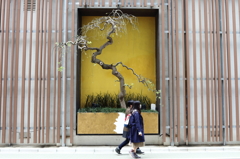 盆栽と私達
