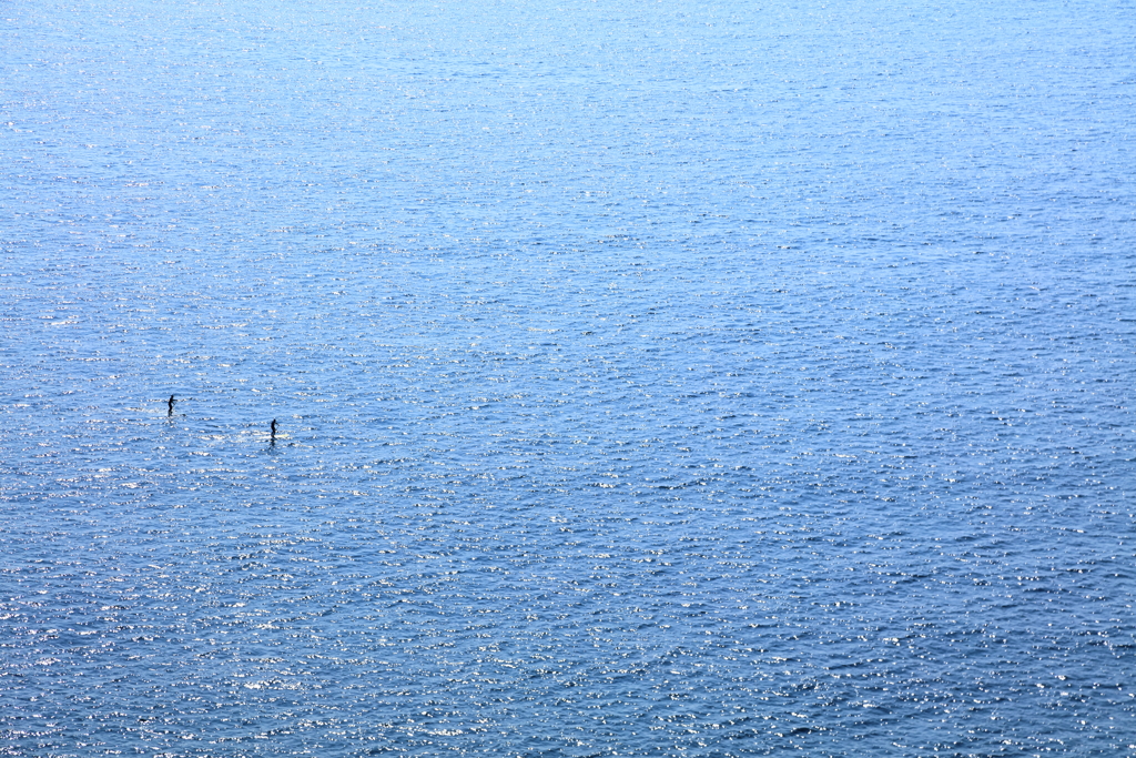 太平洋二人ぼっち