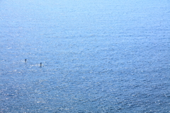 太平洋二人ぼっち 太平洋二人ぼっち