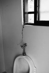 侵入者(葉っぱ）