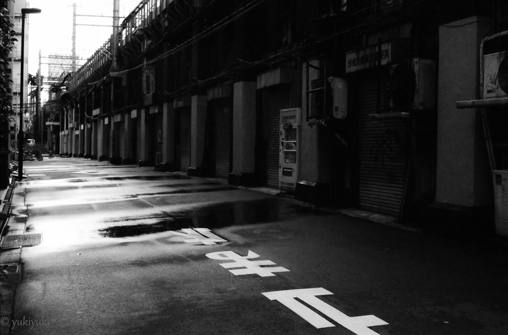 雨上がりに