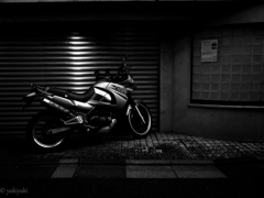 スポット