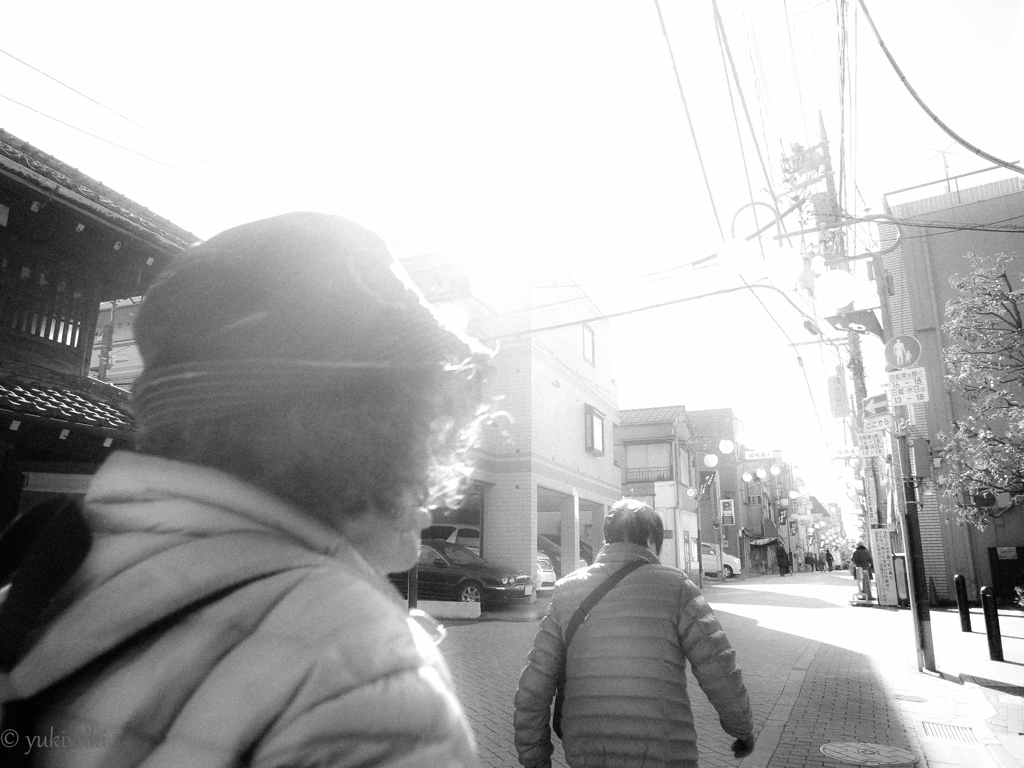 光を浴びて