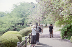 のほほんとした日