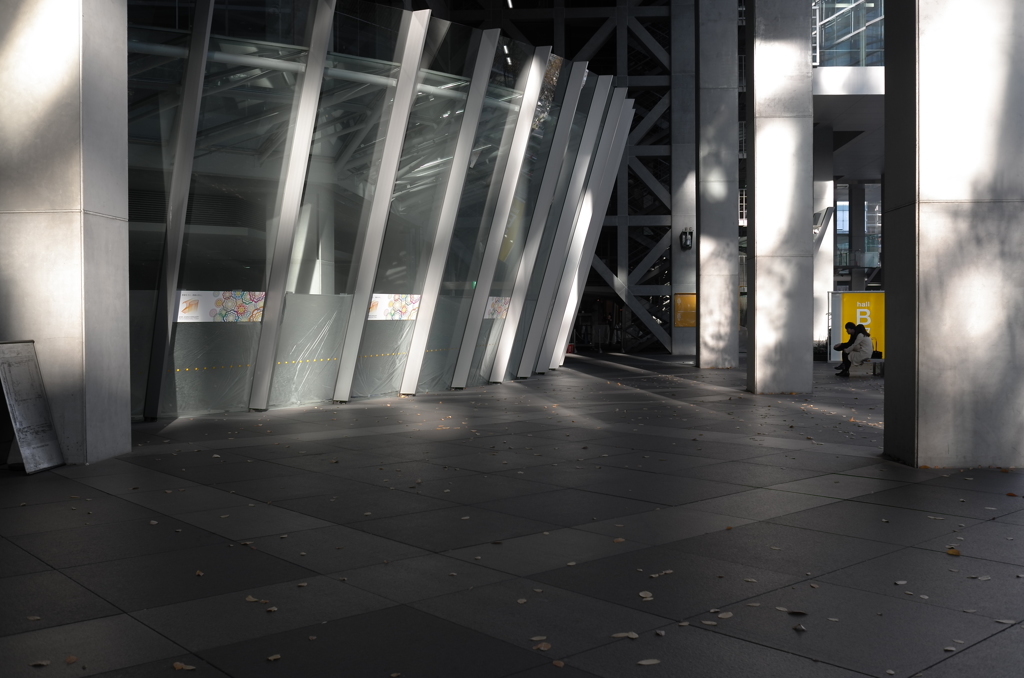 ２人と光のコラボ