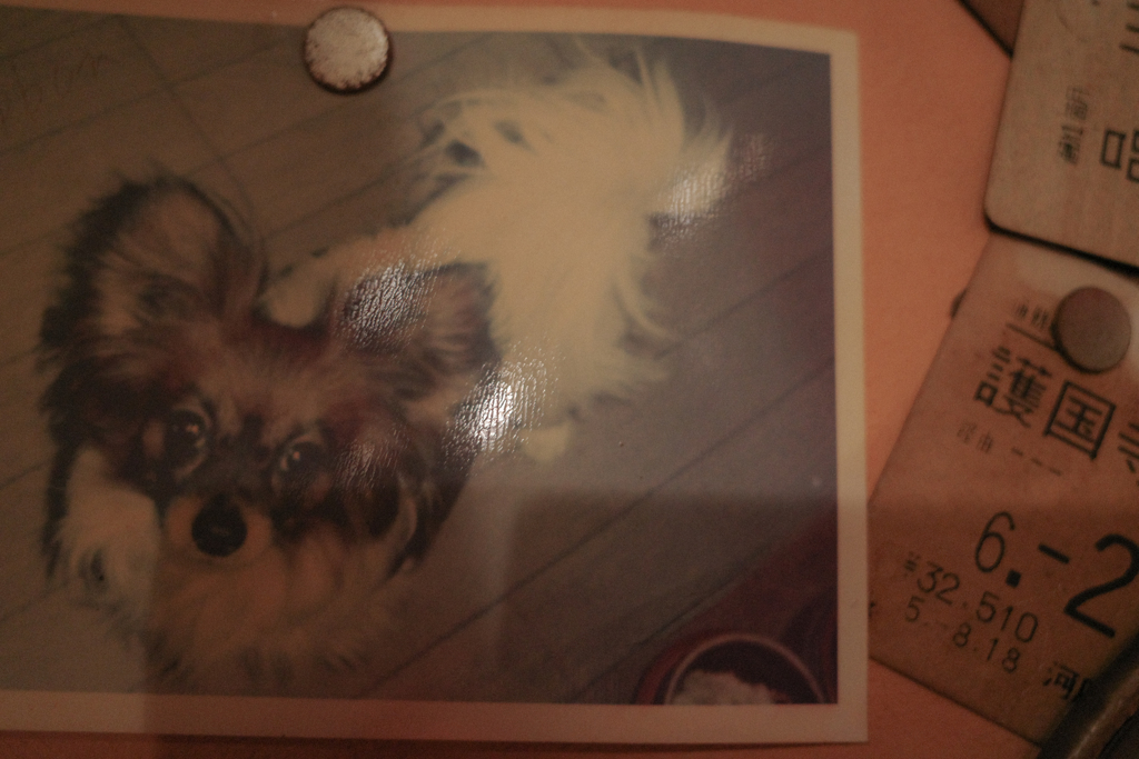 貼られていたあいつ