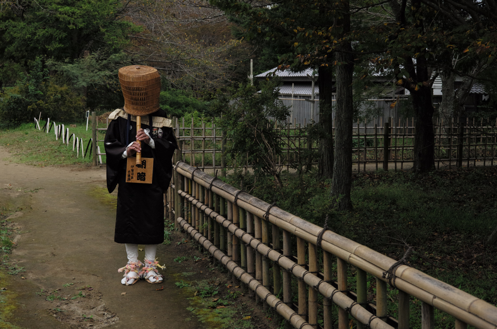 かなり接近してみたが・・・