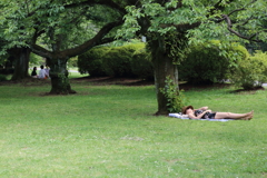 何をやっても絵になる人