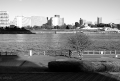 ＳＵＮＤＡＹの過ごし方