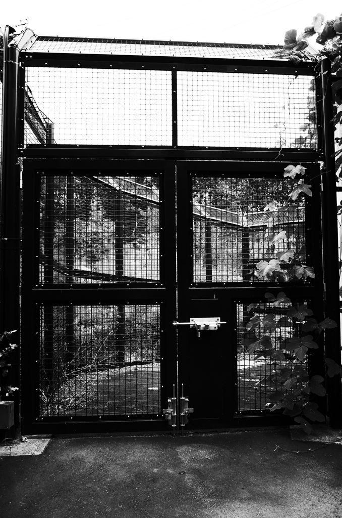 ジェラシックパーク