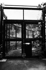 ジェラシックパーク