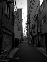 スカイツリーのひとつの観賞方法