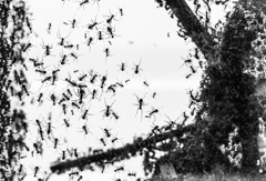 君はこの写真に耐えられるか