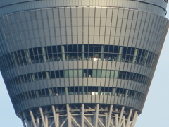 自宅のベランダからＮＯ１