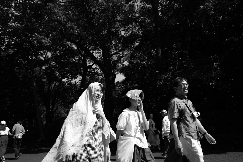 布によるカモフラージュ