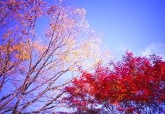 いくつもの青空