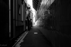 すでに日照なし