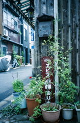 エビスあります