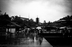 宮島物語　雨に濡れて