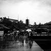 宮島物語　雨に濡れて
