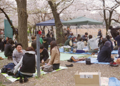 蔵桜　至福タイム