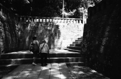 東海物語 孝行息子 東海物語 孝行息子